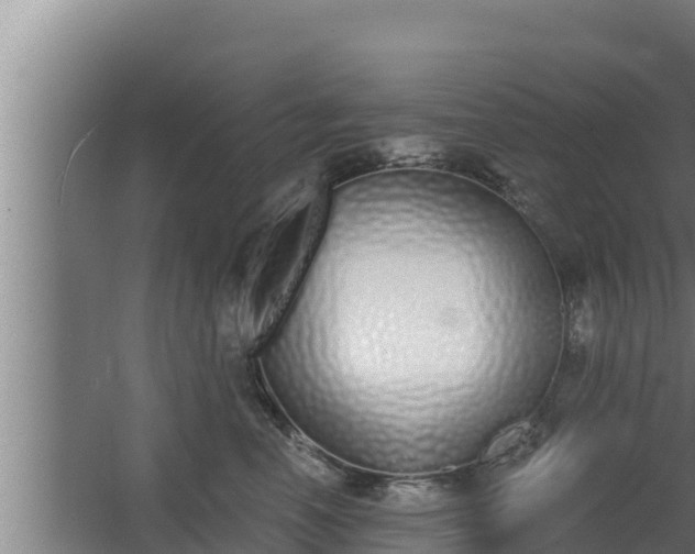 X0000064050666200602031625