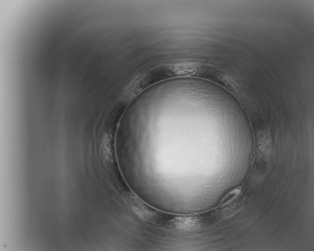 X0000064050667200602031625