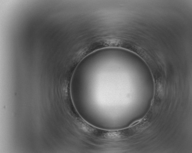 X0000064050668200602031625