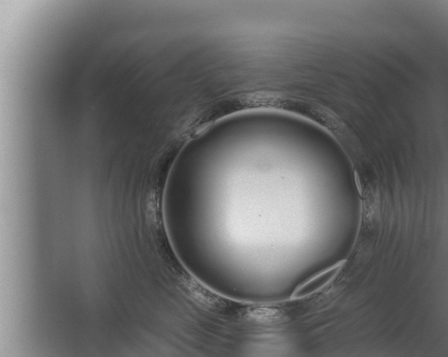 X0000064050669200602031625