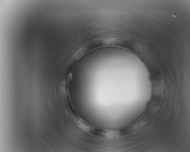 X0000064050670200602031625