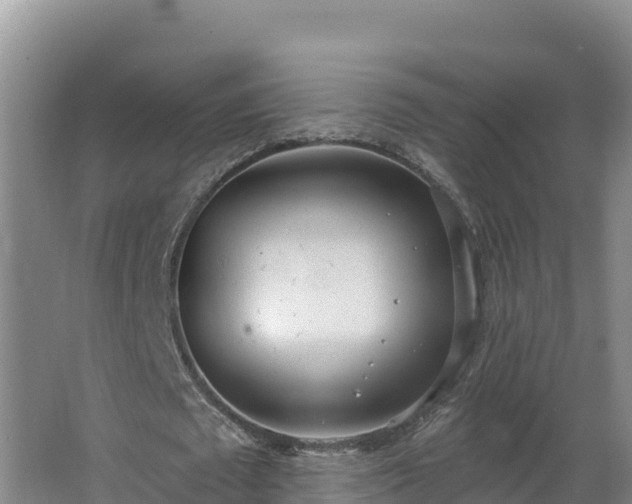 X0000064050673200602031624