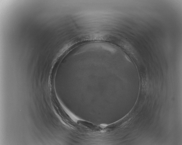 X0000064050674200602031624