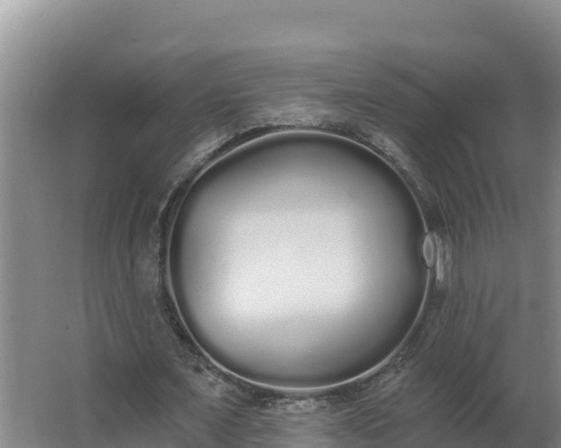 X0000064050675200602031624