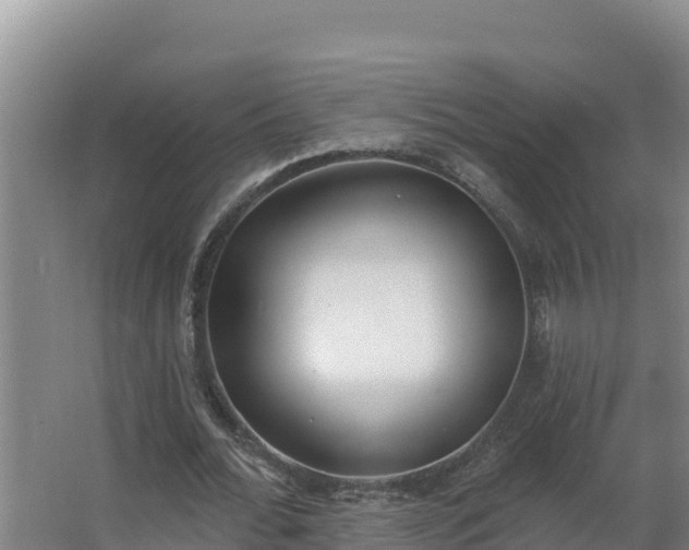 X0000064050676200602031624