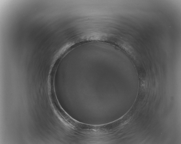 X0000064050678200602031624