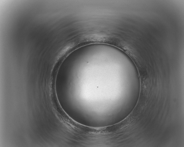 X0000064050679200602031624