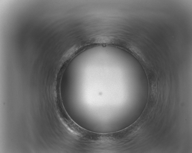 X0000064050682200602031624