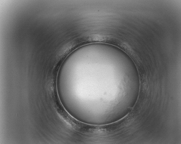 X0000064050683200602031624