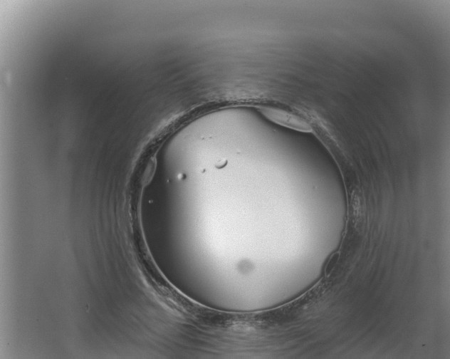 X0000064050684200602031624