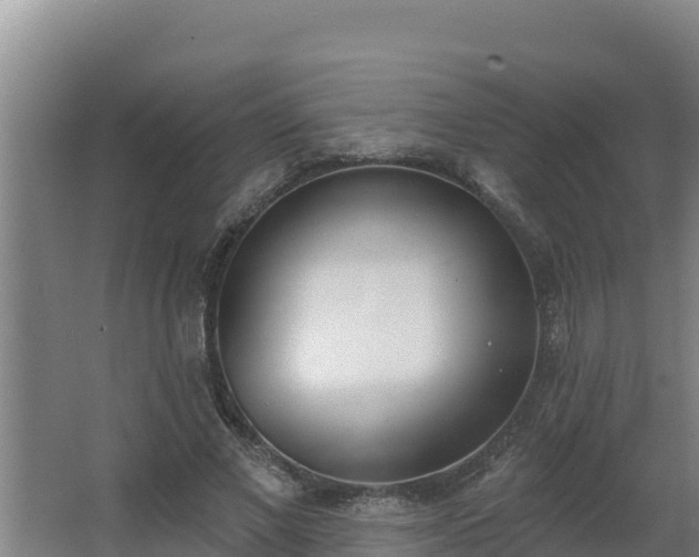 X0000064050685200602031624