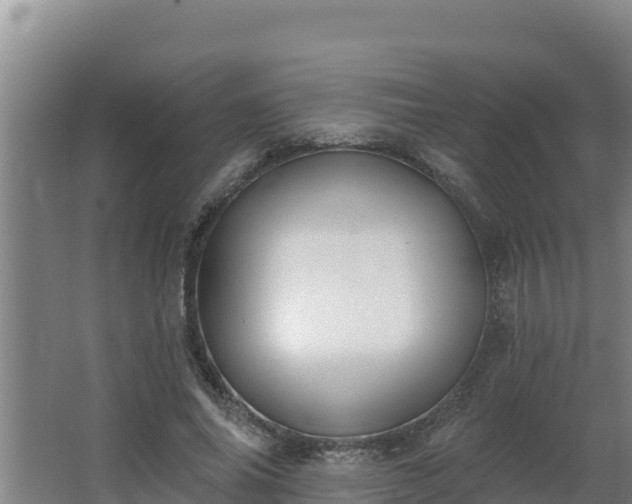 X0000064050686200602031624