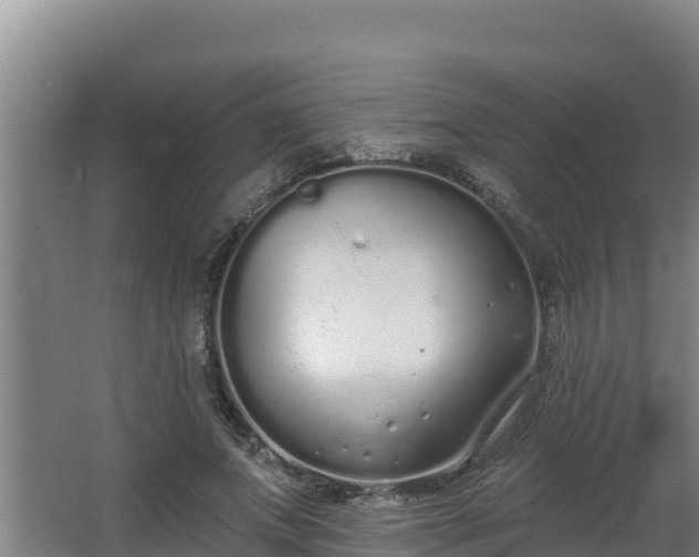 X0000064050687200602031624