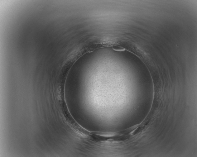 X0000064050689200602031624