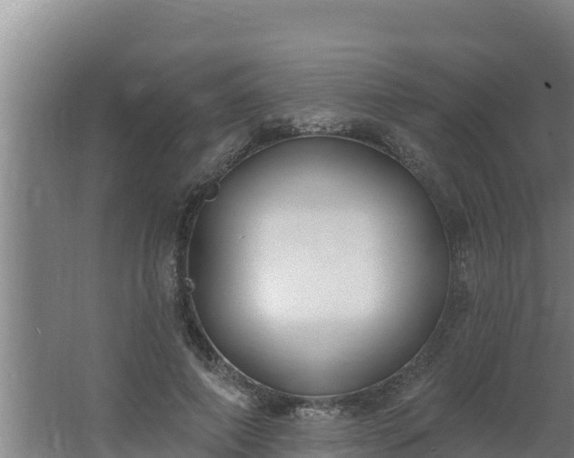 X0000064050690200602031624