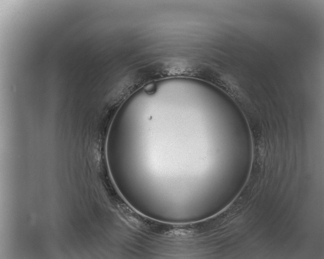 X0000064050691200602031624