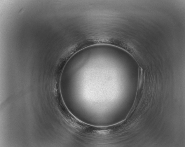 X0000064050692200602031624