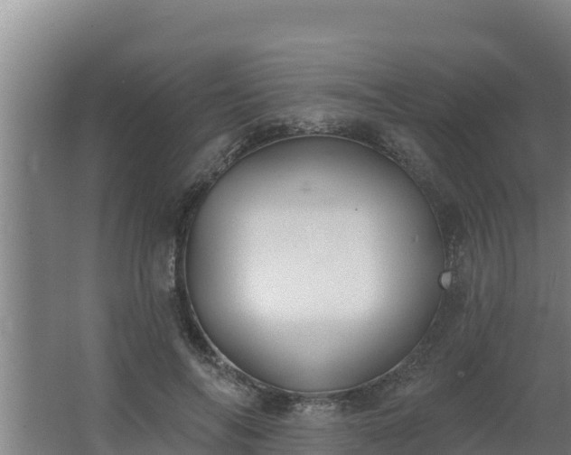 X0000064050694200602031624