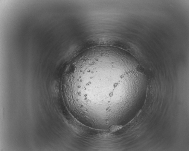 X0000064050695200602031624