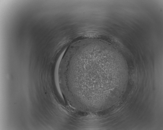 X0000064050696200602031624