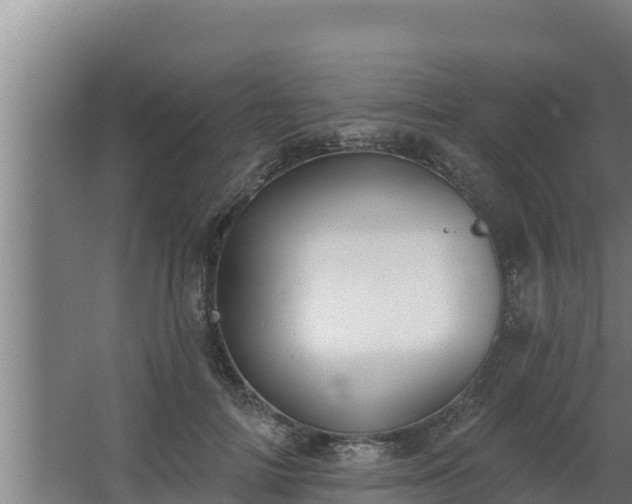 X0000064050698200602031624