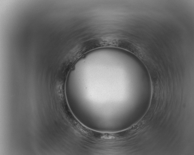 X0000064050699200602031624