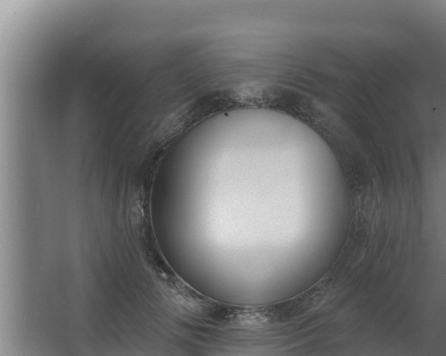 X0000064050702200602031623