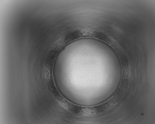 X0000064050703200602031623