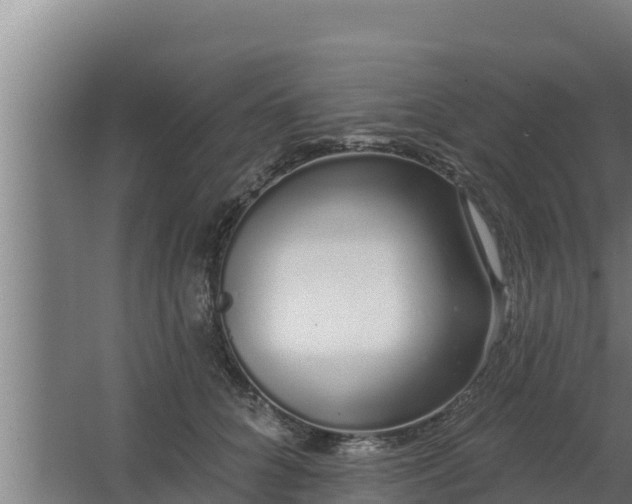 X0000064050704200602031623