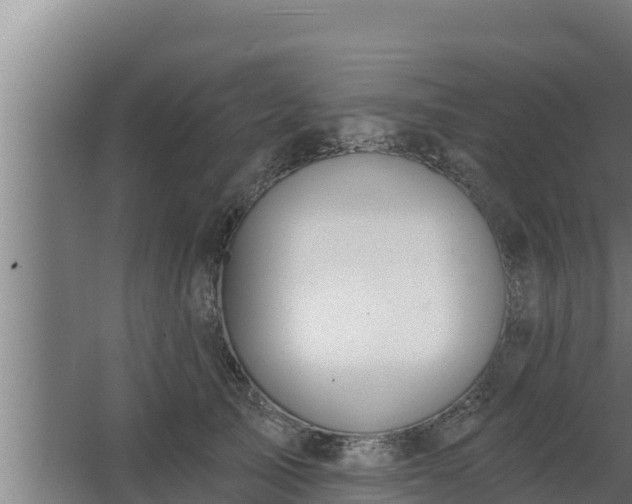 X0000064050705200602031623