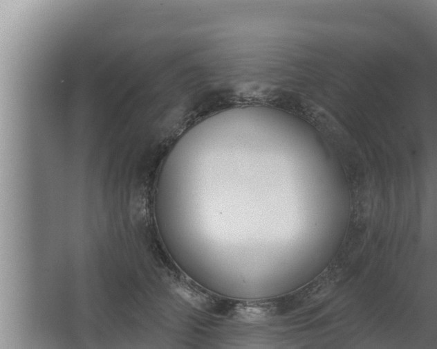 X0000064050706200602031623