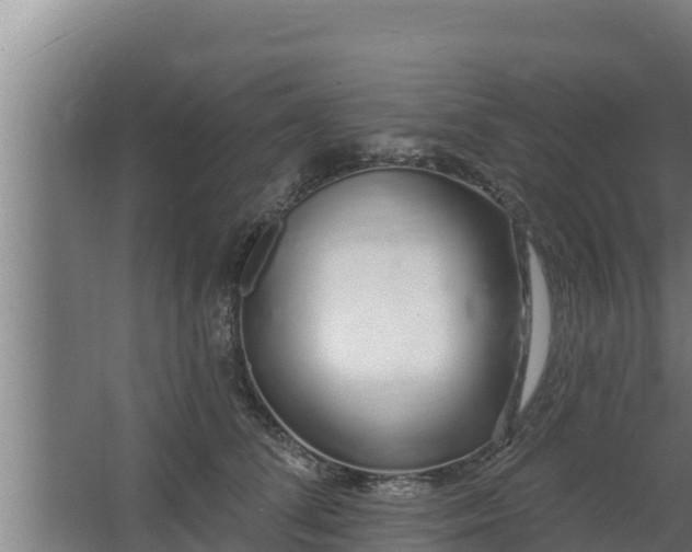 X0000064050708200602031623