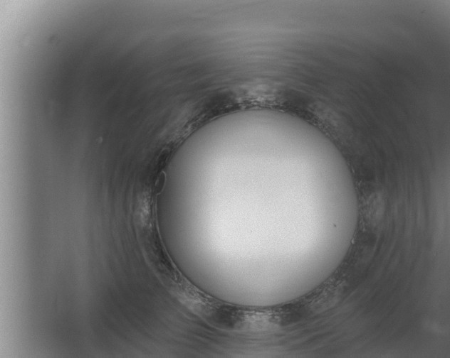 X0000064050709200602031623