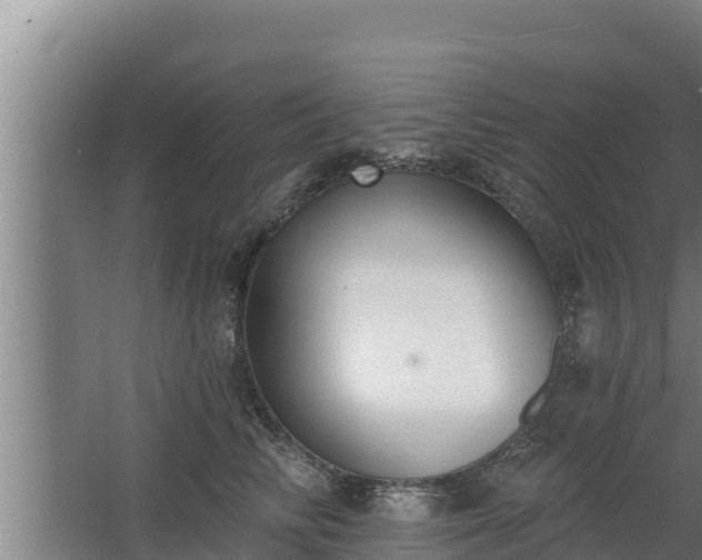 X0000064050710200602031623