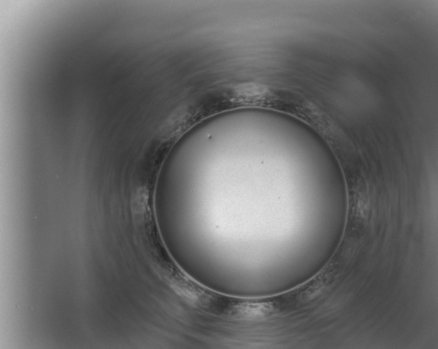 X0000064050711200602031623