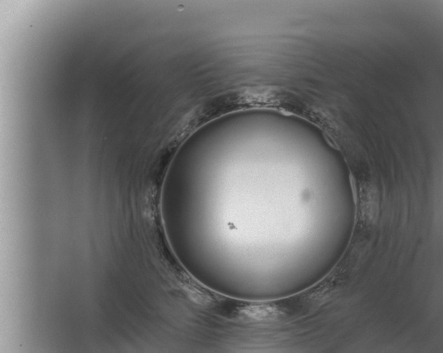 X0000064050712200602031623