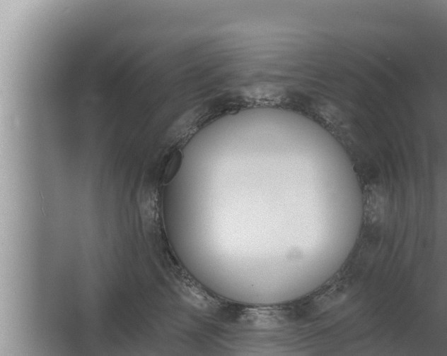 X0000064050713200602031623