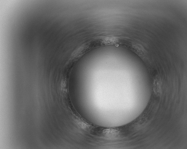 X0000064050714200602031623