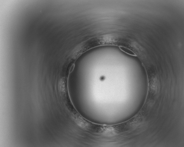 X0000064050715200602031623