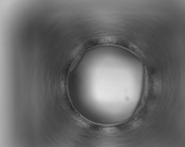 X0000064050716200602031623