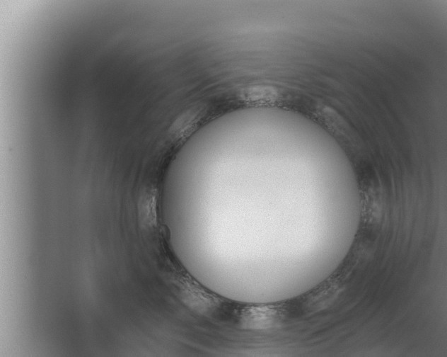 X0000064050717200602031623