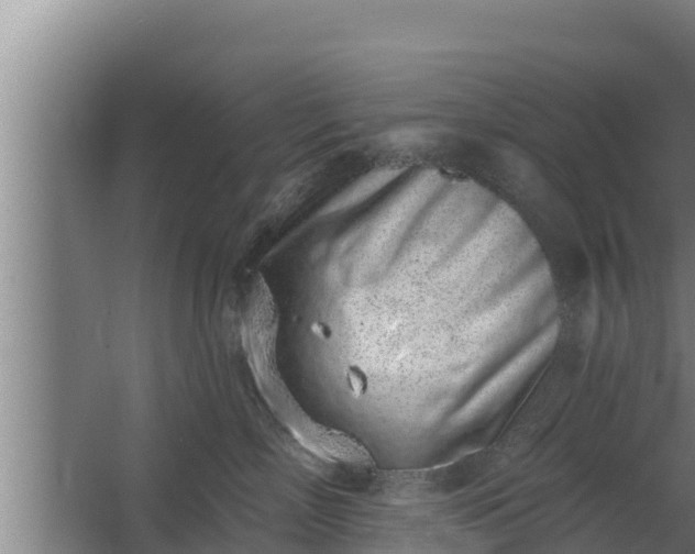 X0000064050718200602031623