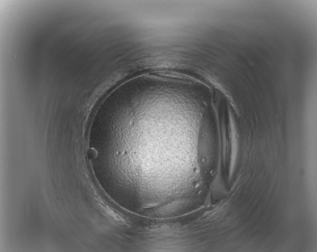 X0000064050721200602031622