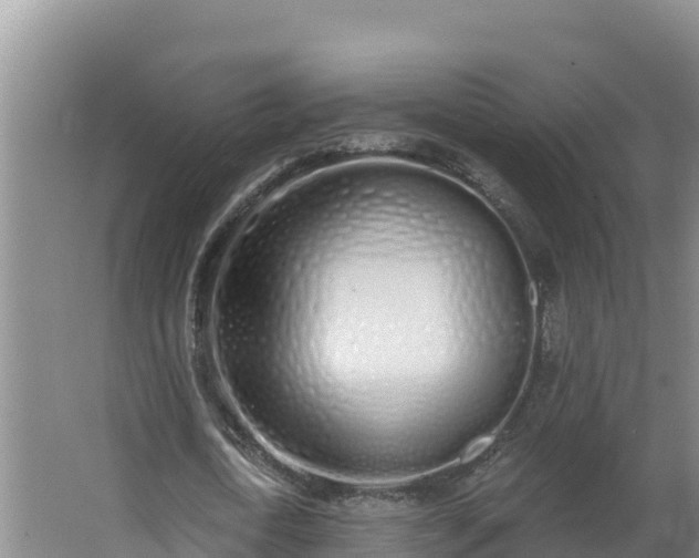 X0000064050722200602031622