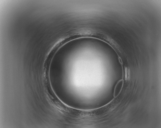 X0000064050723200602031622