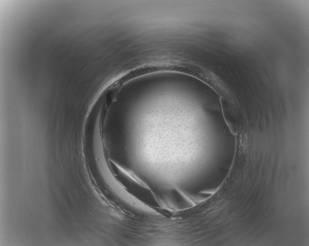 X0000064050724200602031622