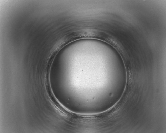 X0000064050725200602031622