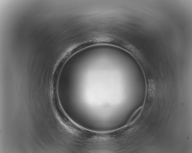 X0000064050726200602031622