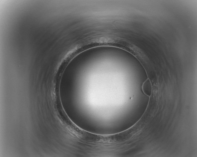 X0000064050727200602031622