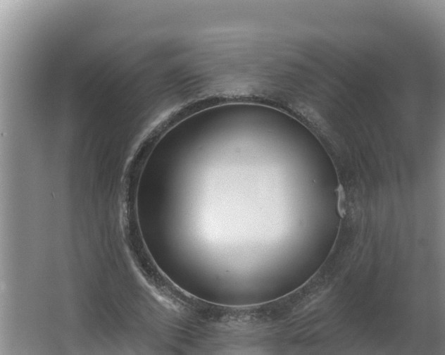 X0000064050728200602031622